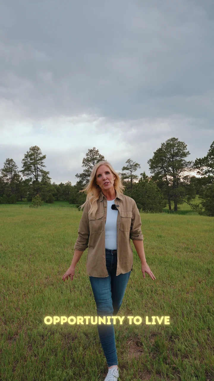 CO-83 farmhouse cinematic tour