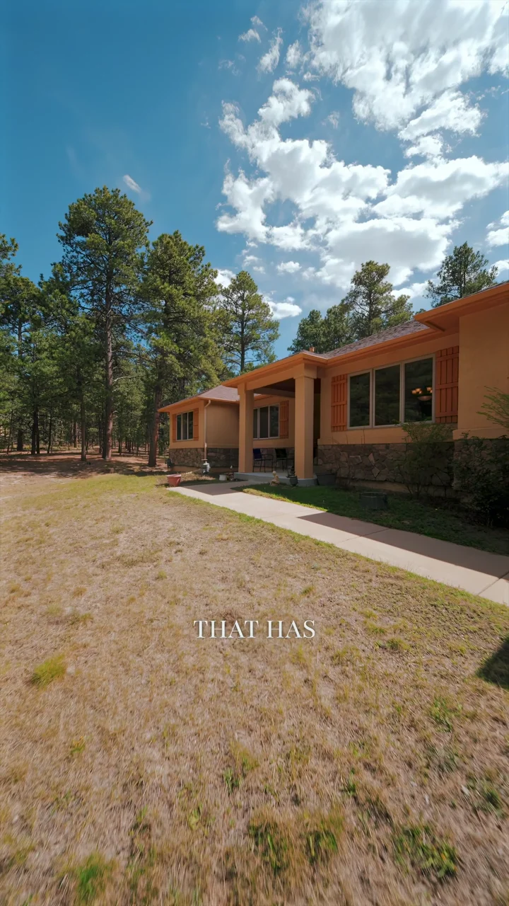 Slash Pine Dr cinematic tour